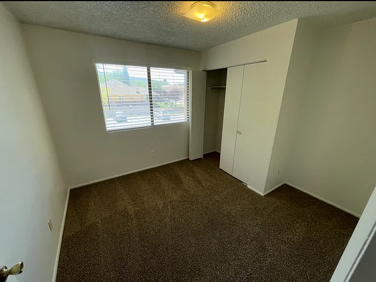 Sunrise Apartments — Photo 11