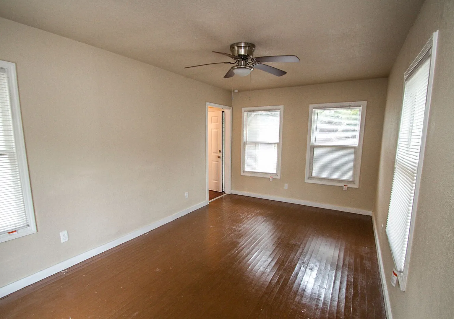 930 Poinsettia — Photo 4