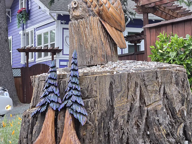 custom address & welcoming owls