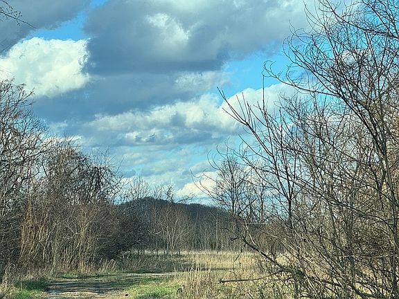 4th image of 250 Easterday Rd