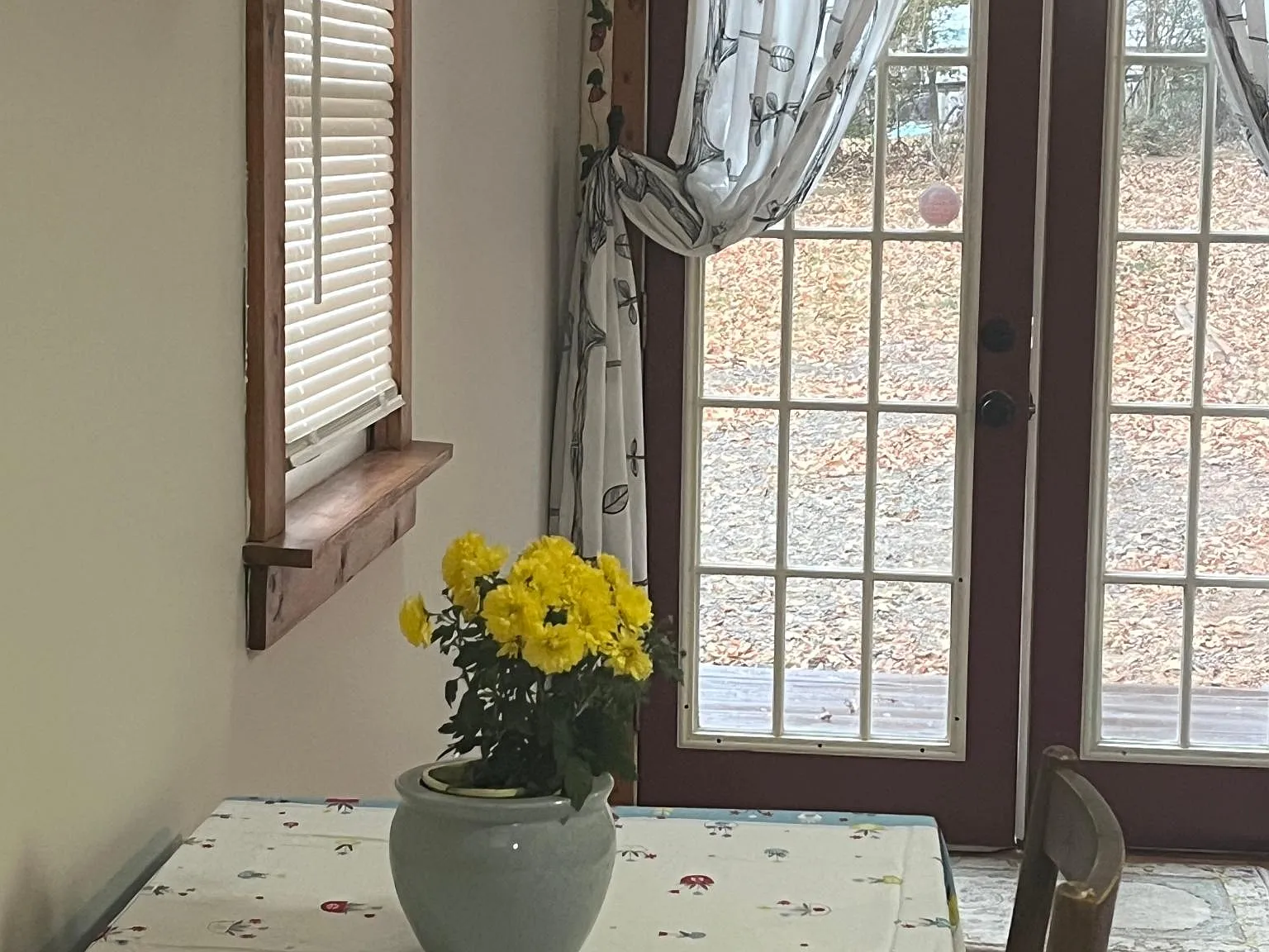 Spring Dr, Asheville — Photo 4