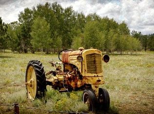 0 Deer Ln, Guffey, CO 80820