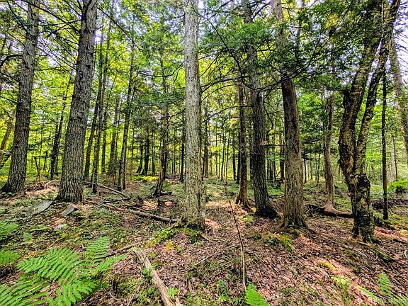 4th image of 160 Acres Camp Gibbs Rd