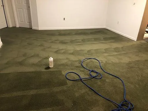 HUGE living room that LOOKS and SMELLS GREAT