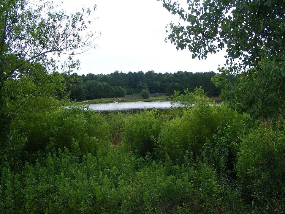 Beautiful Lake!
