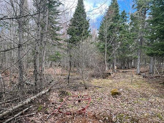 5th image of Lot 12 Doe Path