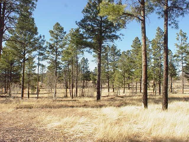 1st image of 888 Pine Meadow Ln