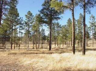 888 Pine Meadow Ln, Show Low, AZ 85901