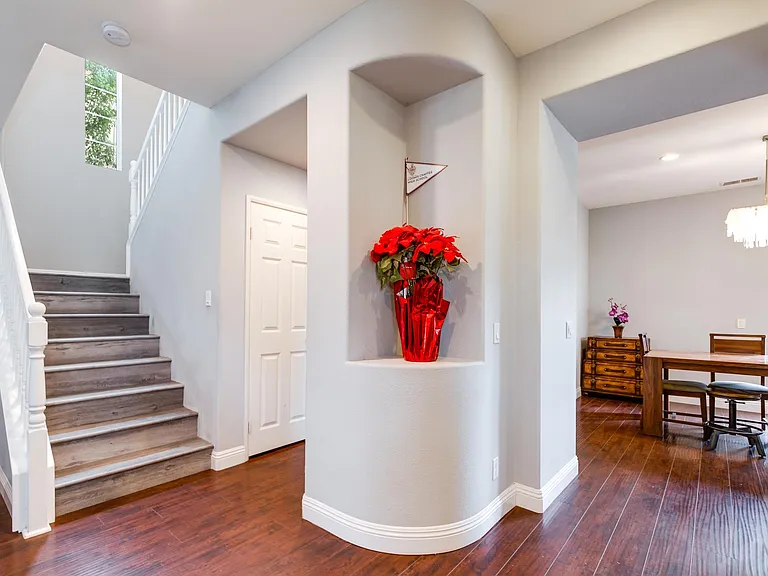 20 Canopy — Photo 10