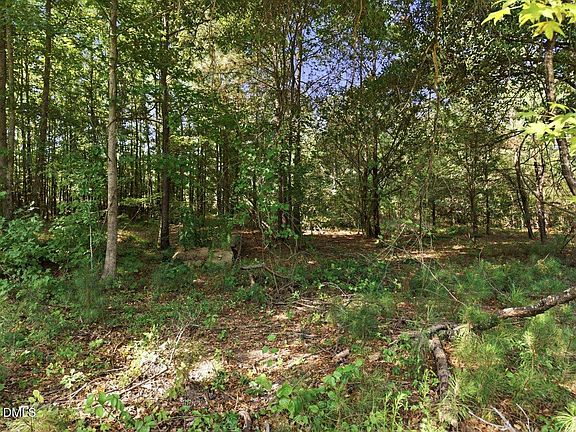 3rd image of 331 Meadow Walk Dr Lot 38