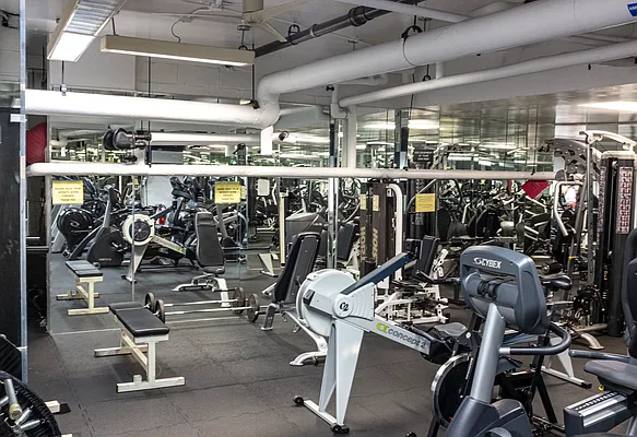 Sold by Douglas Elliman | media 15