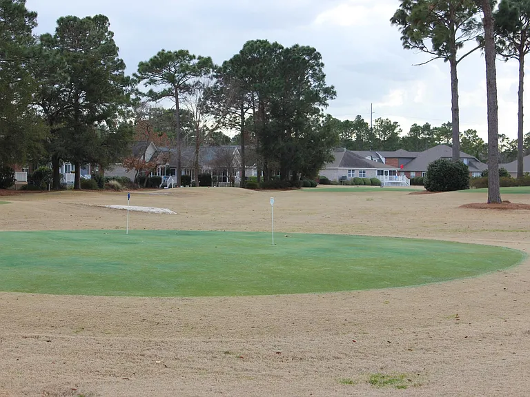 Par 3, nine-hole golf
