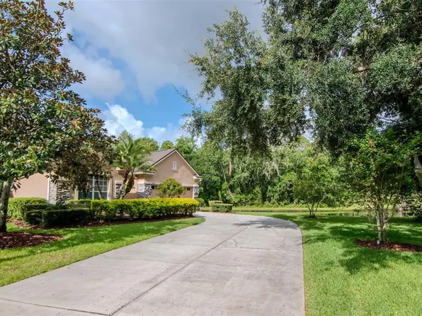 9401 Greenpointe Dr, Tampa, FL 33626