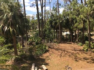 27061 Rue De Paix, Bonita Springs, FL 34135