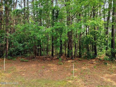 1 Myrtle Rd LOT 32, Roseboro, NC, 28382