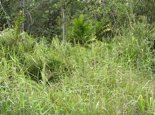 35th Ave LOT 13, Kurtistown, HI 96760