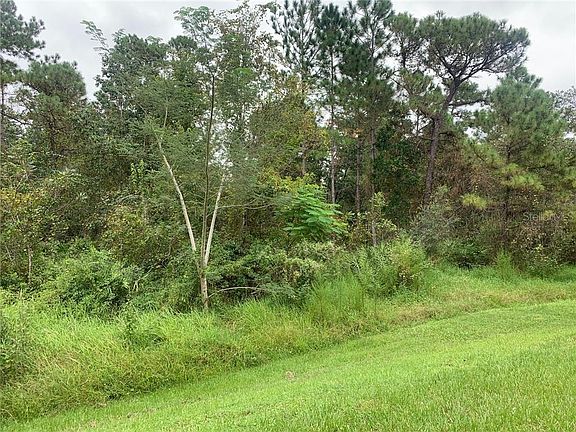 5th image of 4843 Aguila Pl