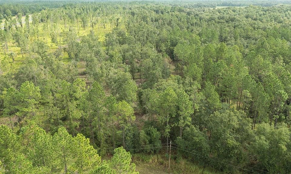 1st image of 6 SE Us Highway 301