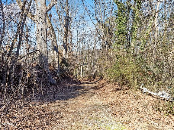 3rd image of 27 Coulter Shoals Cir Lot 27