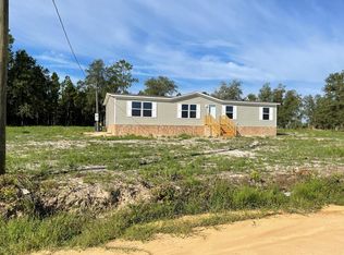 2055 Thomas K Scott Rd, Reidsville, GA 30453