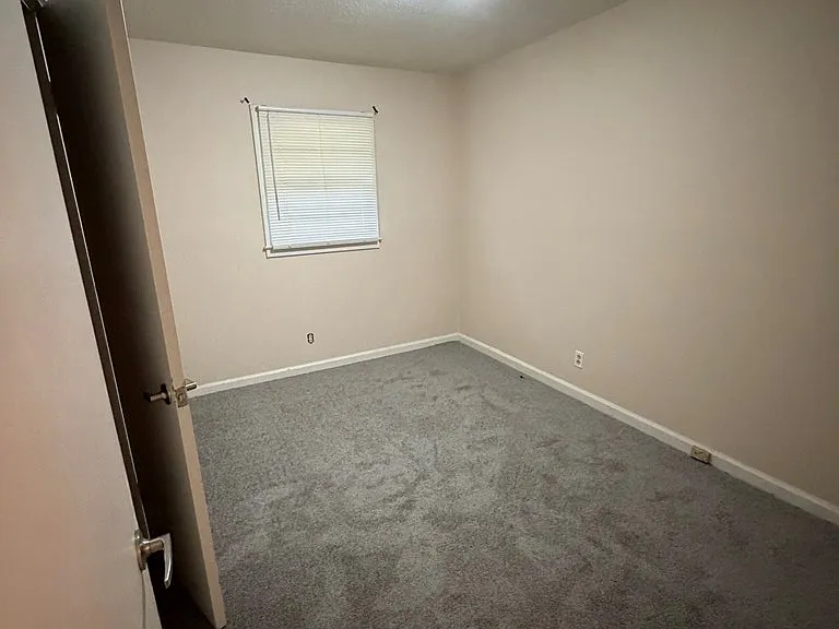 1537 Celia Dr — Photo 10
