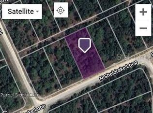 Sheldrake Loop LOT 16, Brooksville, FL 34614