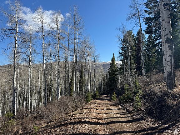 3rd image of 662 Red Fir Way