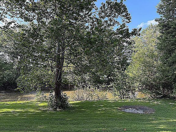 2nd image of 427 Mill Rd