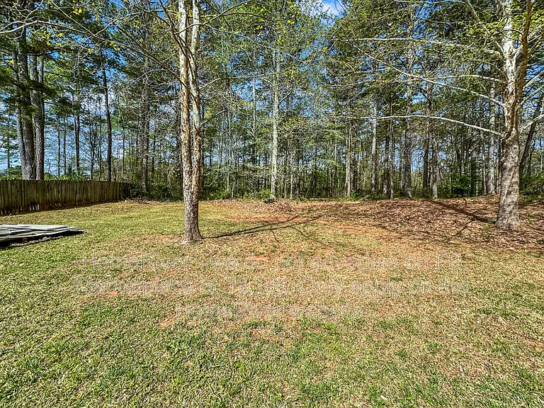 11647 Matthews Trl — Photo 19