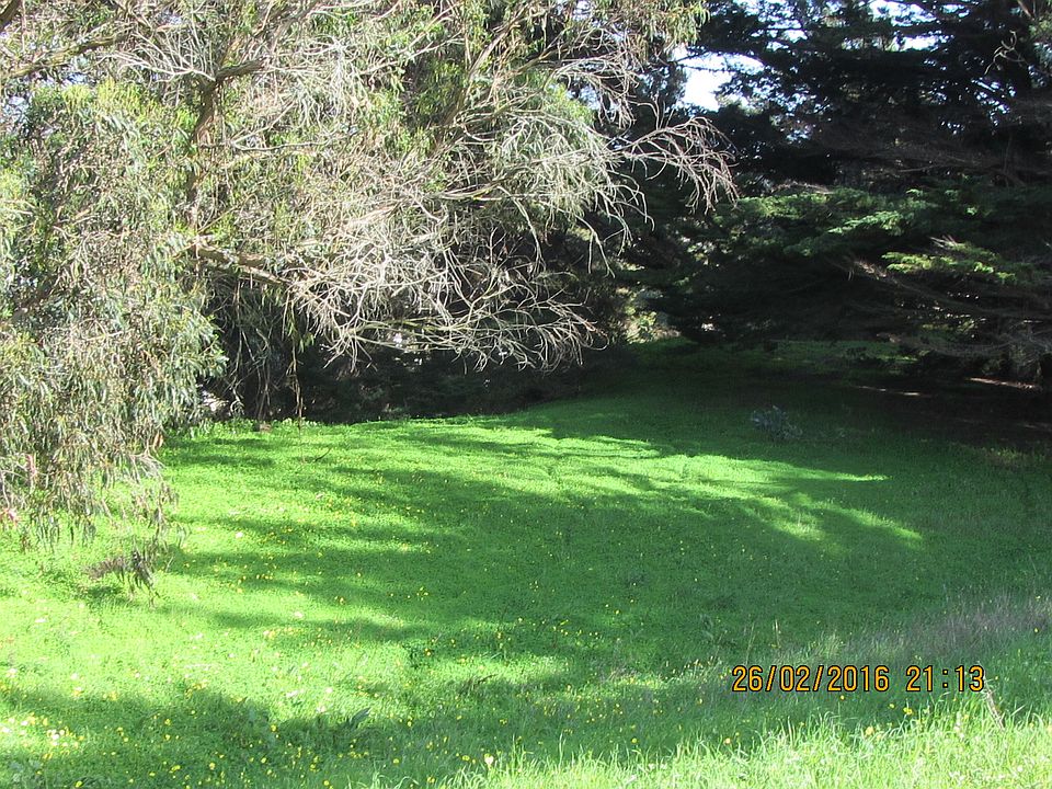 Green space behind home