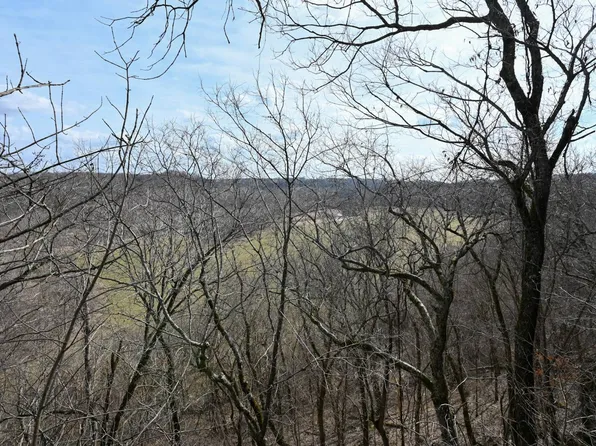 0 Riley Rd, Brumley, MO 65017