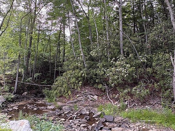 4th image of 121 Acres Rte #20