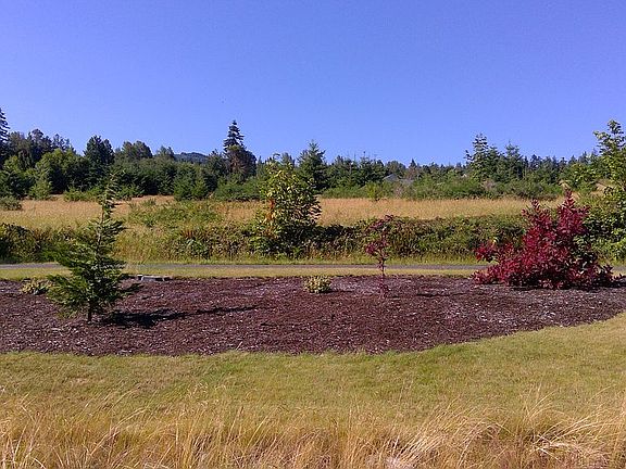 Front Views from the Home