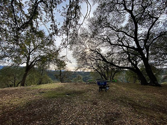 5th image of 2594 Golden Gate Dr