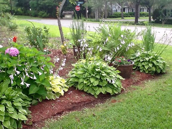 Front yard, side garden