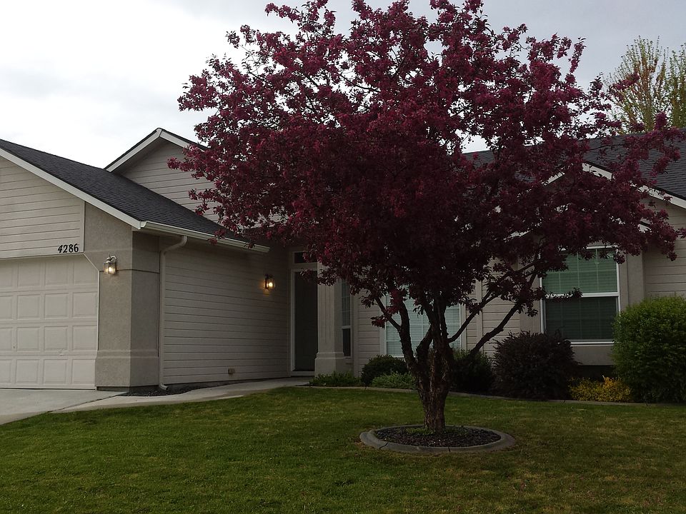Property exterior
