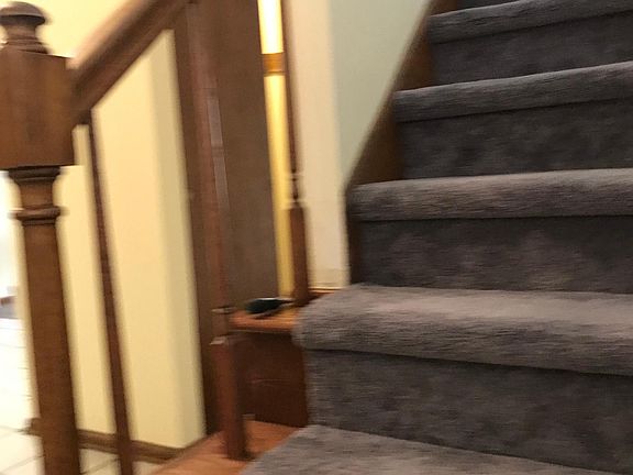 Stairway with new carpeting.