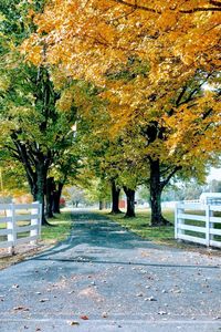 4610 Hopewell Rd, Louisville, KY, 40299