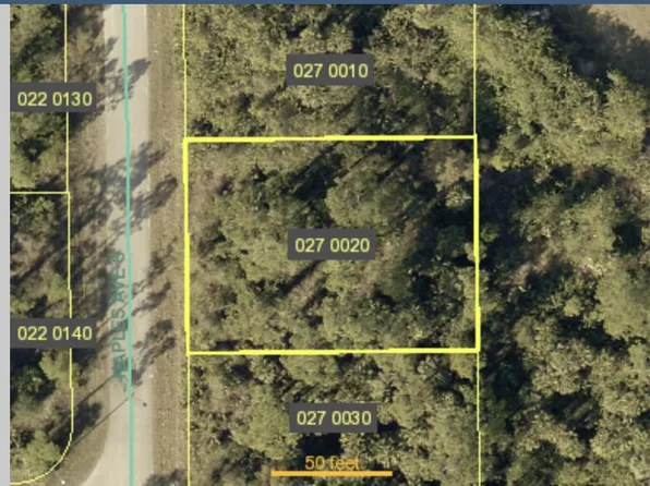 121 Naples Avenue S, Lehigh Acres, FL 33974