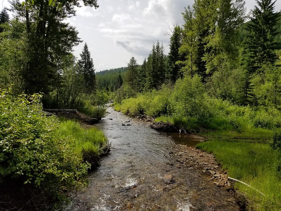 2nd image of Nhn C 9 Mile Rd