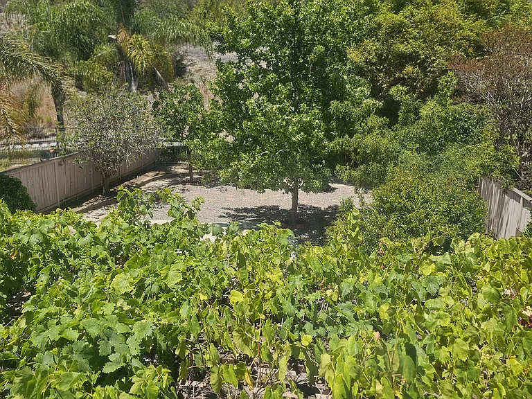233 Canyon Creek Way — Photo 40