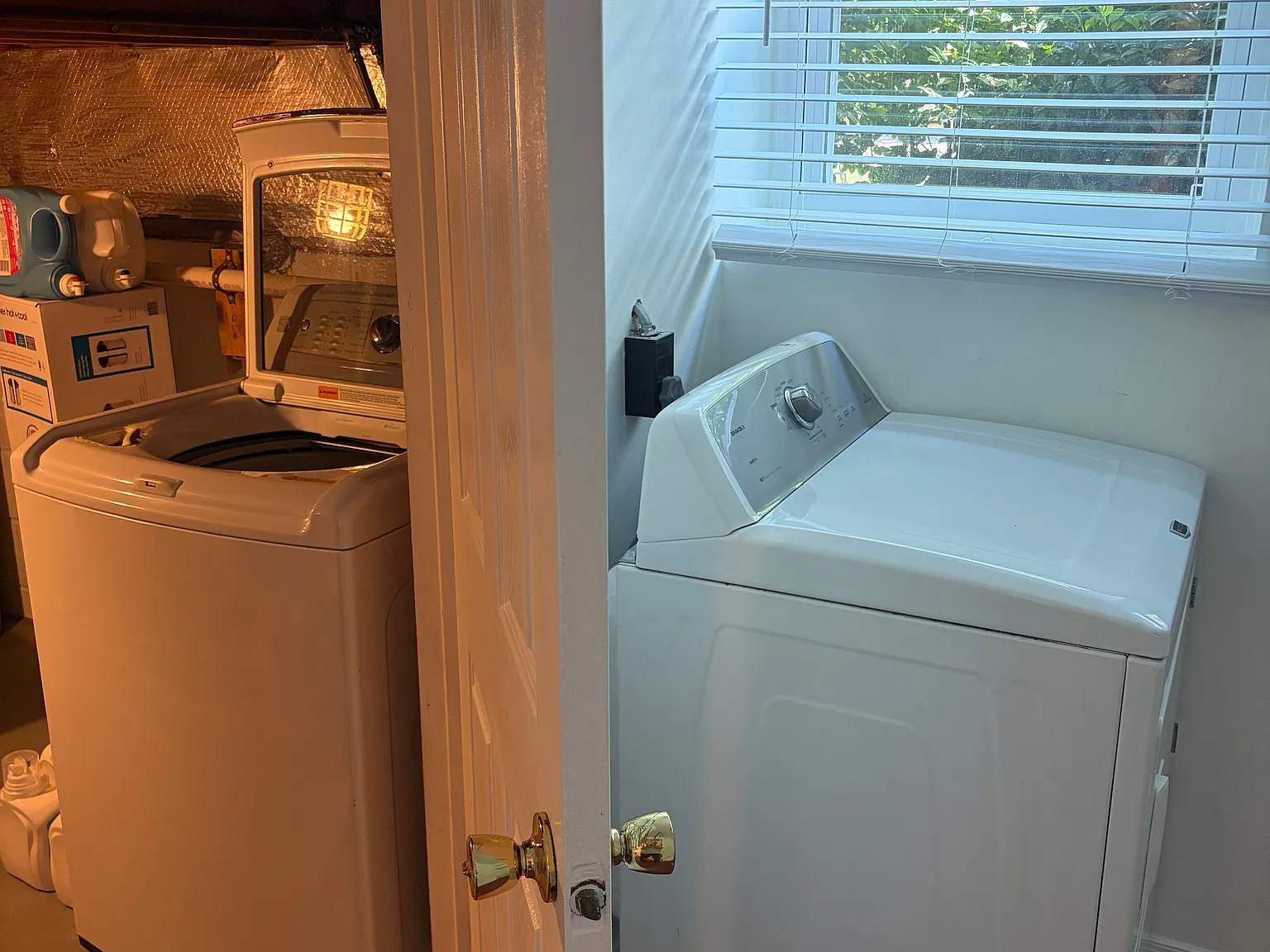 1 bed, 600 sqft, $1,400 — Photo 4