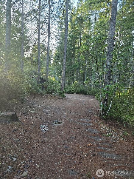 3rd image of 0 Lot #55 NE Collins (80 Collins Dr.) Drive