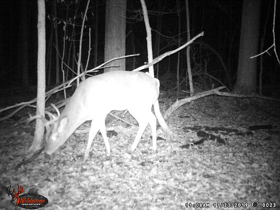 Hmm.... just checking it out