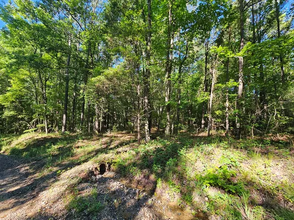 0 Diamond Rd, Ellerslie, GA 31807