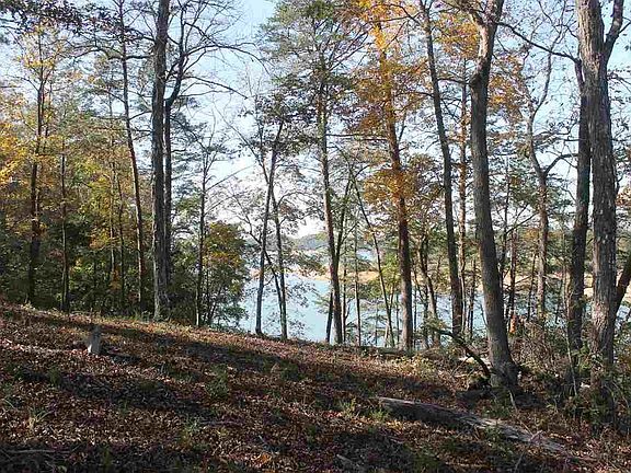2nd image of LOT 13 Cypress Dr