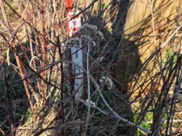0 Lord Botetourt Ct Lot 13, Baxter, TN 38544