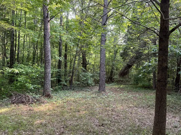 County Road 100 North Rd #N, Walnut, MS 38683