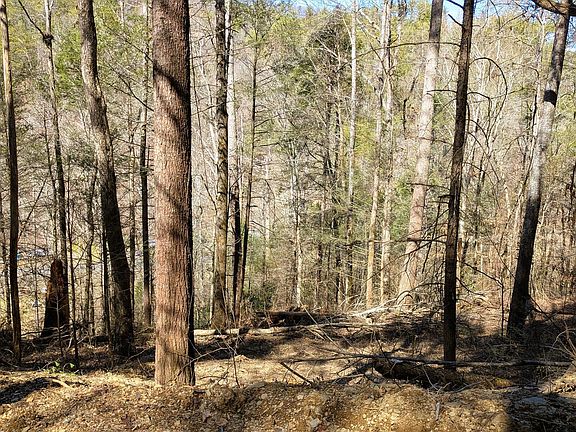 3rd image of Carrs Creek Rd