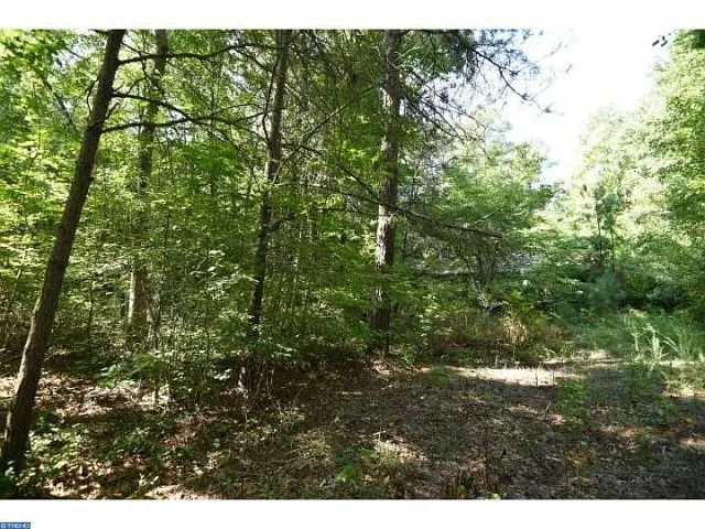 17200 Cedar Corners Rd photo 1